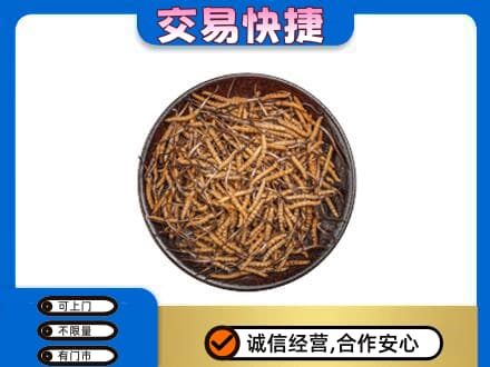 百色礼品回收虫草.jpg